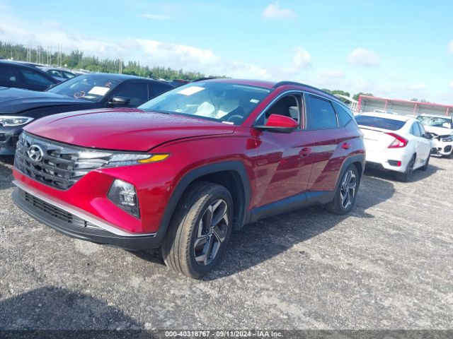 Photo 1 VIN: 5NMJBCDE5RH423966 - HYUNDAI TUCSON 