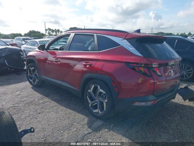 Photo 2 VIN: 5NMJBCDE5RH423966 - HYUNDAI TUCSON 