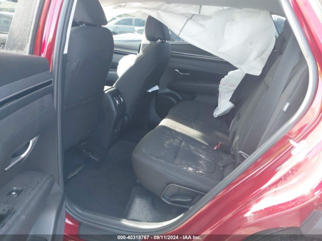 Photo 7 VIN: 5NMJBCDE5RH423966 - HYUNDAI TUCSON 