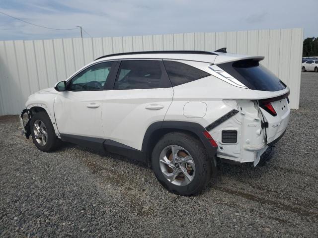 Photo 1 VIN: 5NMJBCDE6RH322483 - HYUNDAI TUCSON SEL 