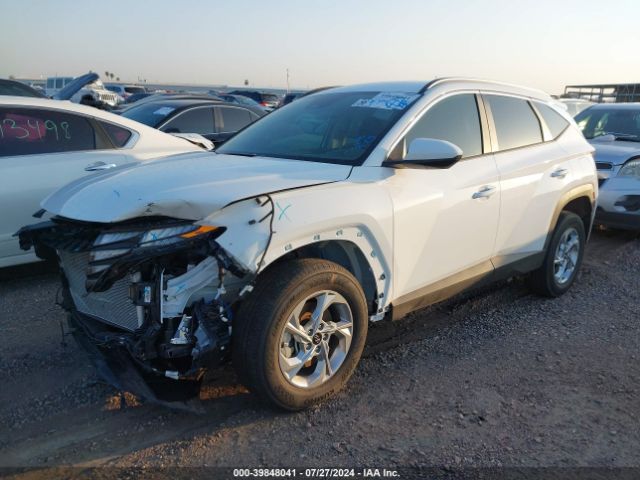 Photo 1 VIN: 5NMJBCDE7RH303425 - HYUNDAI TUCSON 