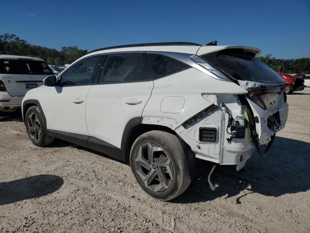 Photo 1 VIN: 5NMJE3AE5PH181818 - HYUNDAI TUCSON LIM 