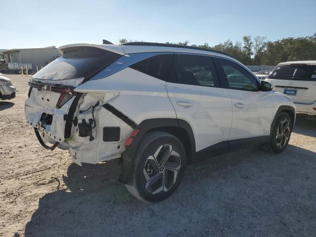 Photo 2 VIN: 5NMJE3AE5PH181818 - HYUNDAI TUCSON LIM 