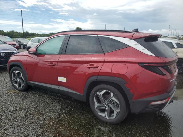 Photo 1 VIN: 5NMJE3DEXRH437336 - HYUNDAI TUCSON LIM 