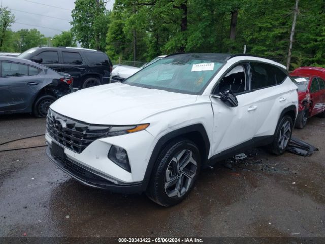 Photo 1 VIN: 5NMJECAE0PH176557 - HYUNDAI TUCSON 