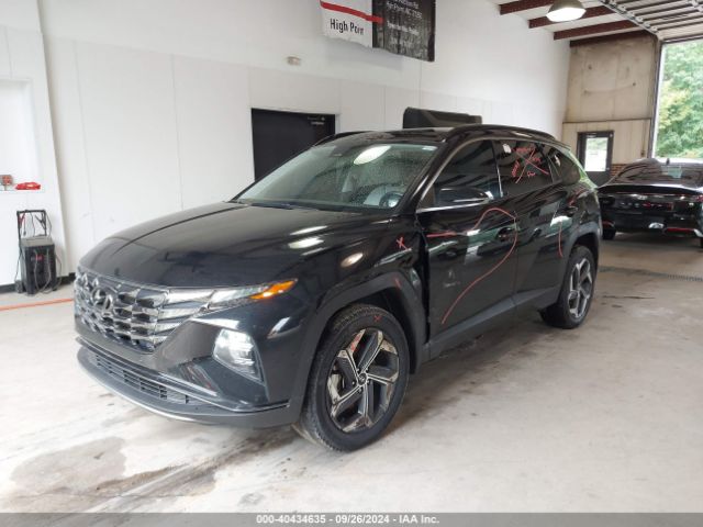 Photo 1 VIN: 5NMJECAE4PH244102 - HYUNDAI TUCSON 