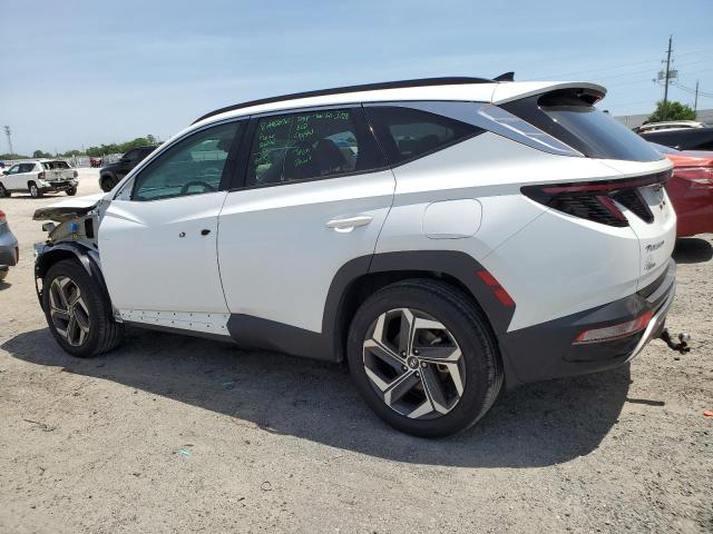 Photo 1 VIN: 5NMJECAE5NH148945 - HYUNDAI TUCSON 