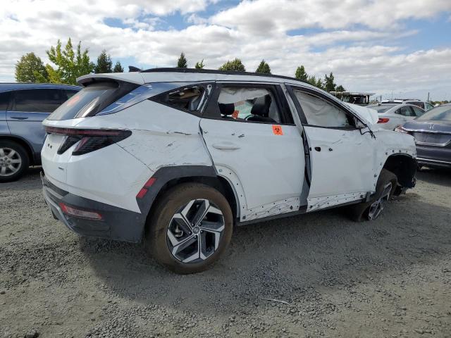 Photo 2 VIN: 5NMJECDE5RH299799 - HYUNDAI TUCSON LIM 