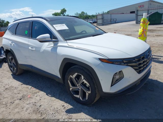 Photo 0 VIN: 5NMJECDE6RH331756 - HYUNDAI TUCSON 