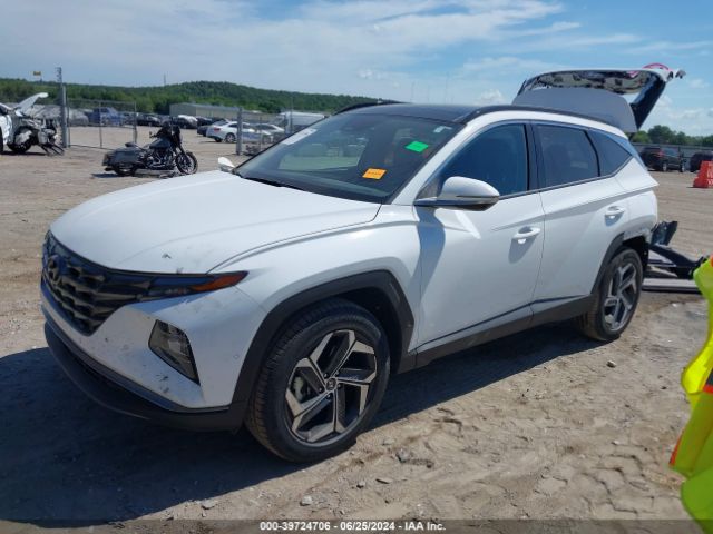 Photo 1 VIN: 5NMJECDE6RH331756 - HYUNDAI TUCSON 