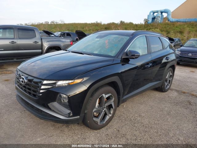 Photo 1 VIN: 5NMJF3DEXRH380973 - HYUNDAI TUCSON 