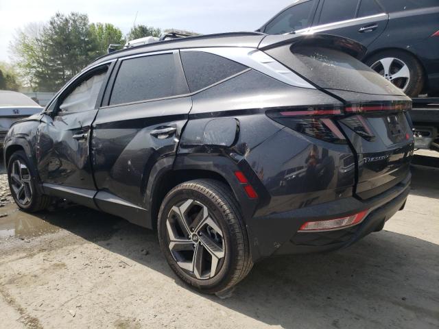 Photo 1 VIN: 5NMJFCAE1PH165239 - HYUNDAI TUCSON SEL 