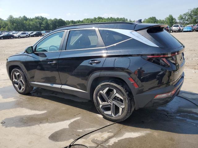 Photo 1 VIN: 5NMJFCAE3PH206387 - HYUNDAI TUCSON 