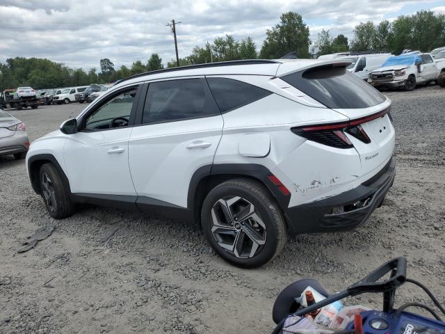 Photo 1 VIN: 5NMJFCAE5PH219108 - HYUNDAI TUCSON SEL 