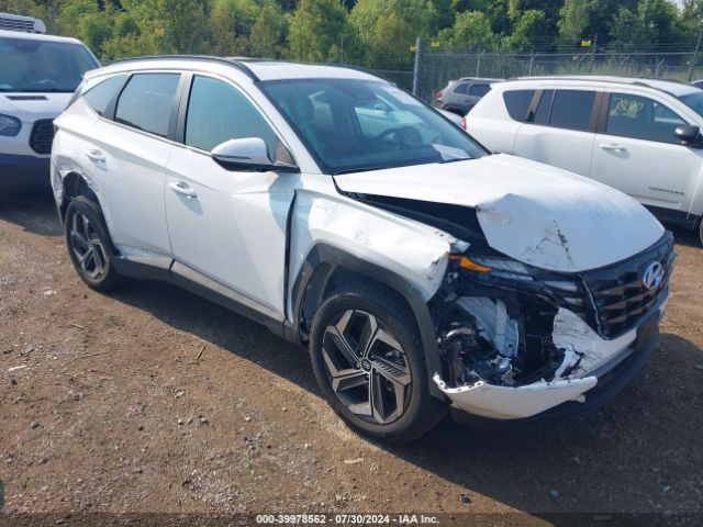 Photo 0 VIN: 5NMJFCAE5PH246129 - HYUNDAI TUCSON 