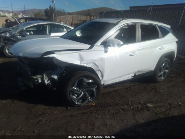 Photo 1 VIN: 5NMJFCAE6NH023496 - HYUNDAI TUCSON 