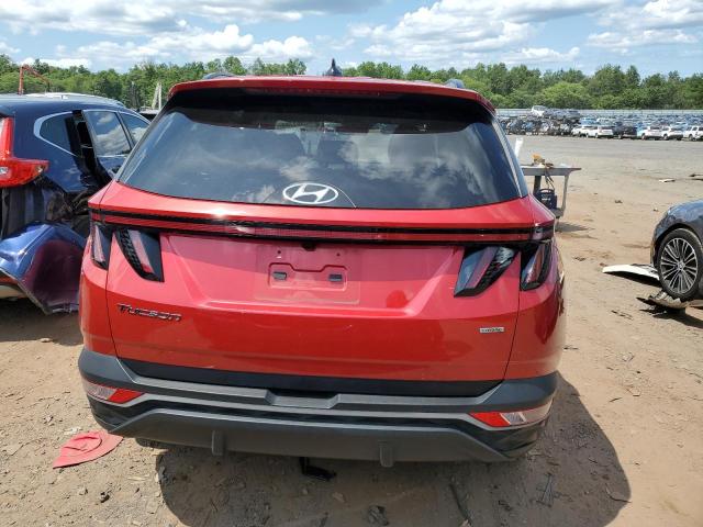 Photo 5 VIN: 5NMJFCAE7NH116169 - HYUNDAI TUCSON SEL 