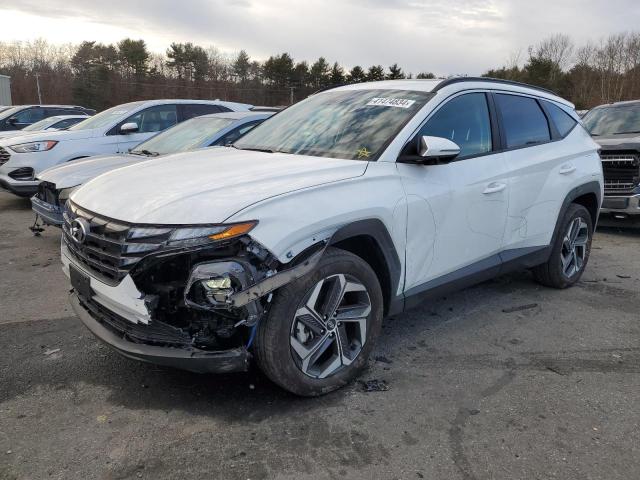 Photo 0 VIN: 5NMJFCDE2RH318063 - HYUNDAI TUCSON 