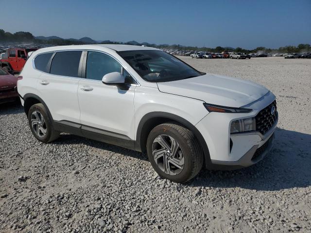 Photo 3 VIN: 5NMS14AJ0PH652275 - HYUNDAI SANTA FE S 