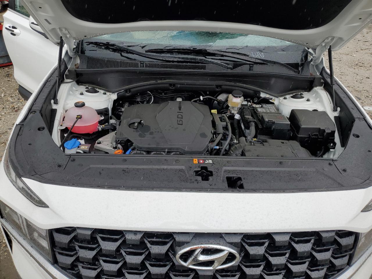 Photo 11 VIN: 5NMS1DAJ5PH551846 - HYUNDAI SANTA FE 