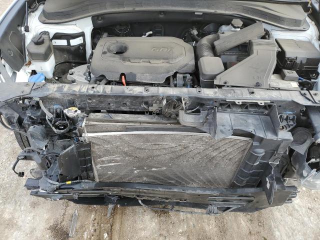 Photo 10 VIN: 5NMS2CAD8LH224241 - HYUNDAI SANTA FE 