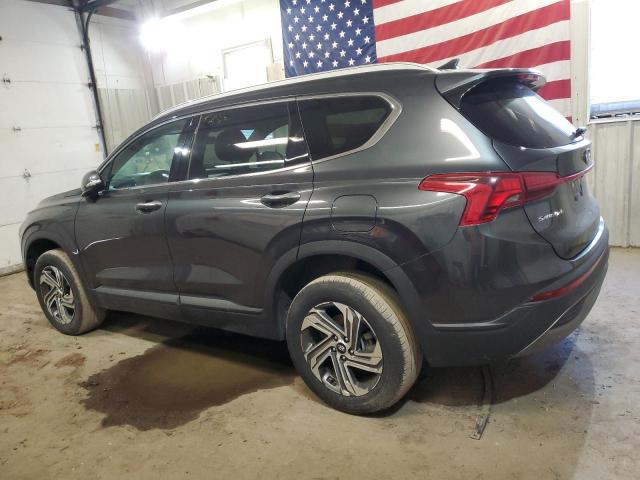 Photo 1 VIN: 5NMS2DAJ3PH549817 - HYUNDAI SANTA FE 