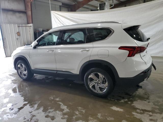 Photo 1 VIN: 5NMS2DAJ6PH539041 - HYUNDAI SANTA FE S 