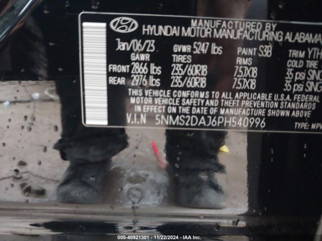 Photo 8 VIN: 5NMS2DAJ6PH540996 - HYUNDAI SANTA FE 