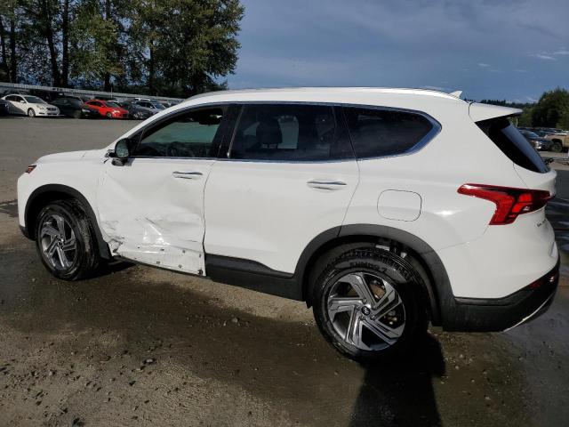 Photo 1 VIN: 5NMS2DAJ9PH612502 - HYUNDAI SANTA FE S 