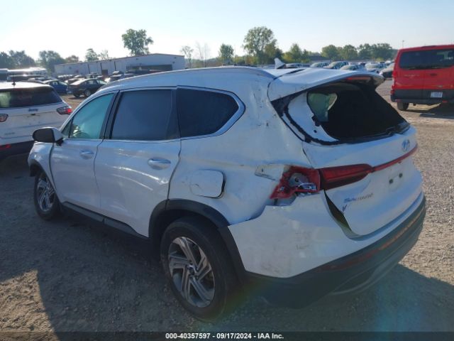 Photo 2 VIN: 5NMS2DAJXPH527622 - HYUNDAI SANTA FE 