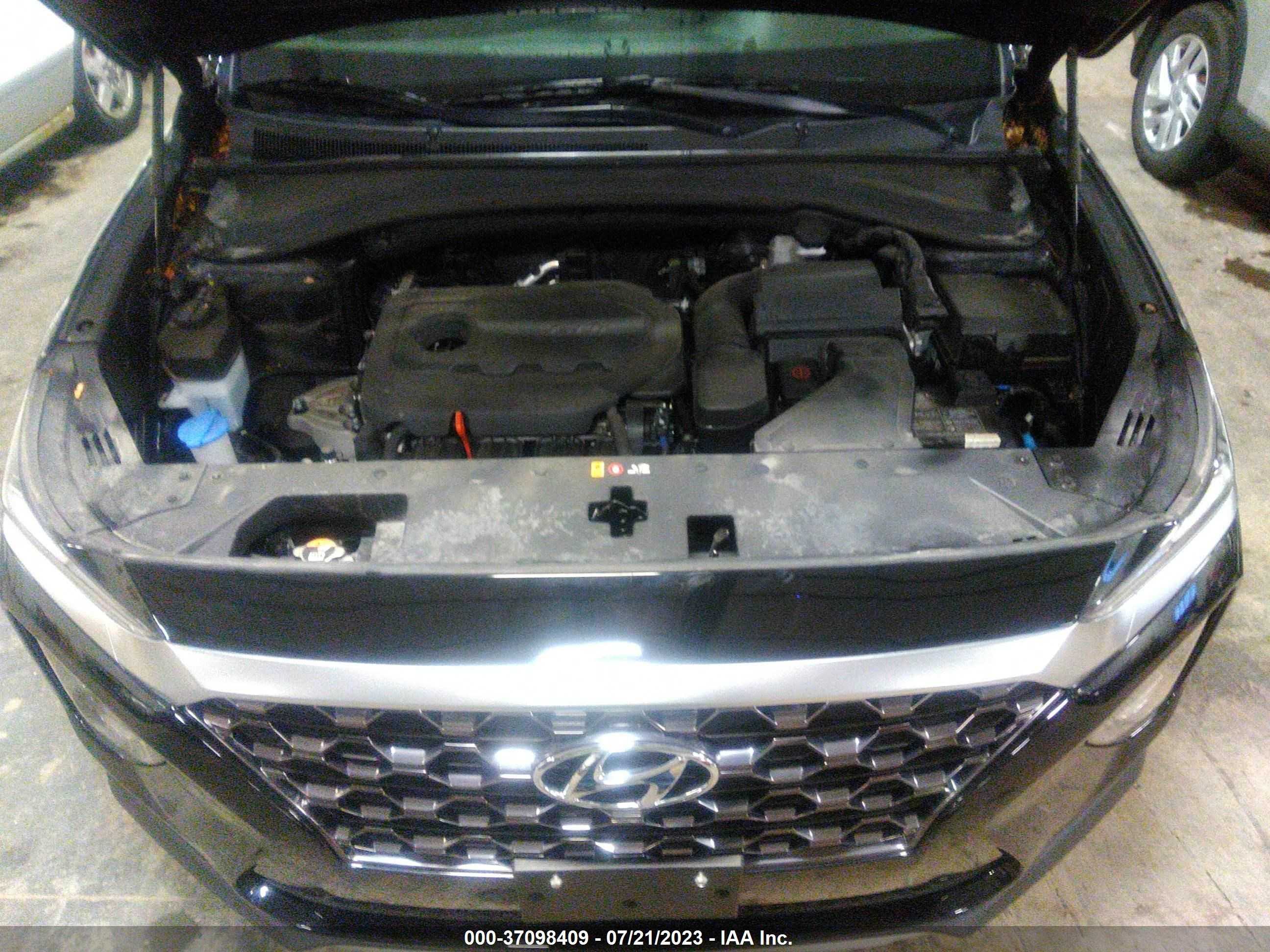 Photo 9 VIN: 5NMS3CAD6LH233968 - HYUNDAI SANTA FE 