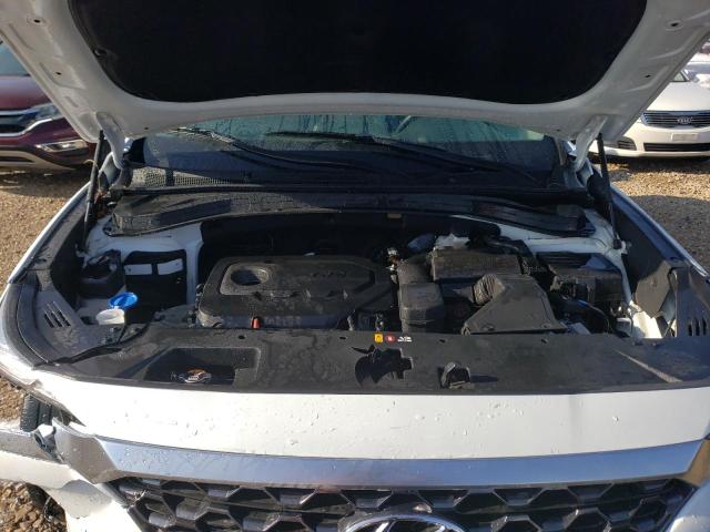 Photo 10 VIN: 5NMS3CAD9LH292867 - HYUNDAI SANTA FE 