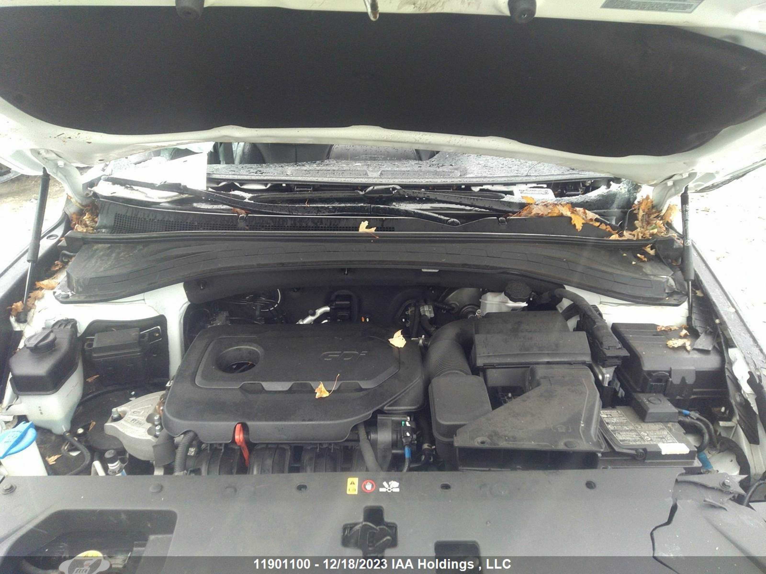 Photo 9 VIN: 5NMS3CADXLH241300 - HYUNDAI SANTA FE S 