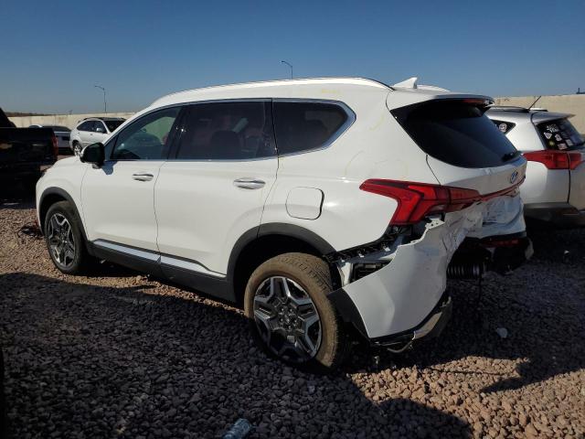 Photo 1 VIN: 5NMS3DA12PH010599 - HYUNDAI SANTA FE S 