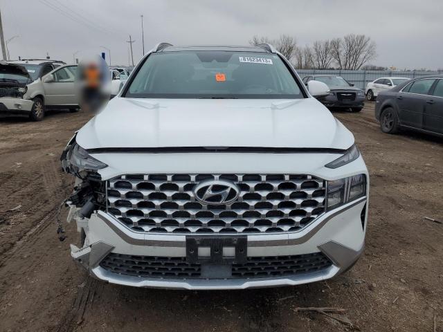 Photo 4 VIN: 5NMS3DAJ8MH312135 - HYUNDAI SANTA FE 