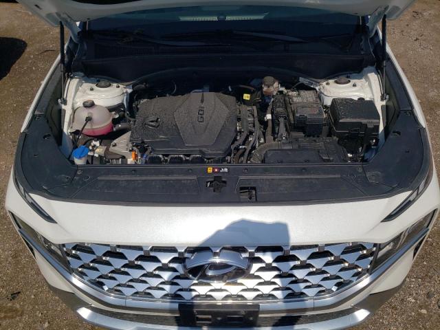 Photo 10 VIN: 5NMS3DAJXNH411119 - HYUNDAI SANTA FE 