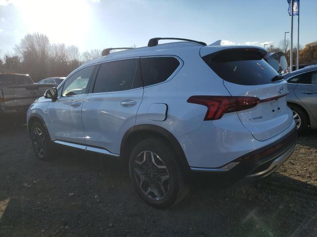 Photo 1 VIN: 5NMS4DAL2MH365461 - HYUNDAI SANTA FE L 