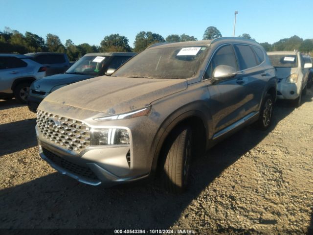 Photo 1 VIN: 5NMS4DAL3PH601152 - HYUNDAI SANTA FE 