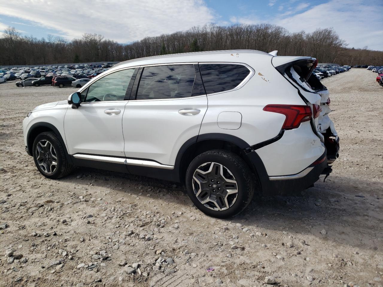 Photo 1 VIN: 5NMS4DAL8NH448717 - HYUNDAI SANTA FE 