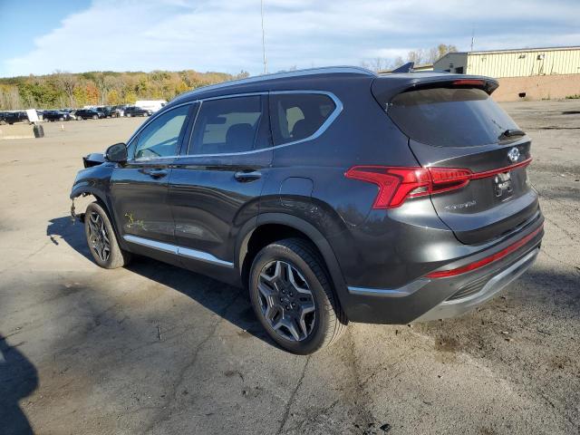 Photo 1 VIN: 5NMS5DA1XPH009646 - HYUNDAI SANTA FE L 