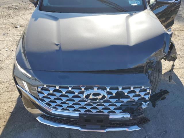 Photo 11 VIN: 5NMS5DA1XPH009646 - HYUNDAI SANTA FE L 