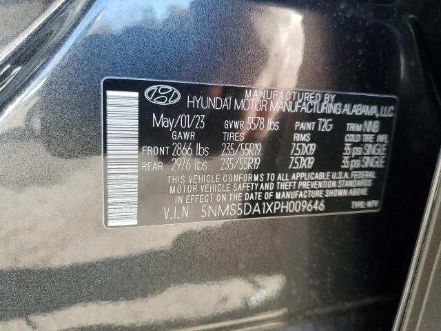 Photo 12 VIN: 5NMS5DA1XPH009646 - HYUNDAI SANTA FE L 