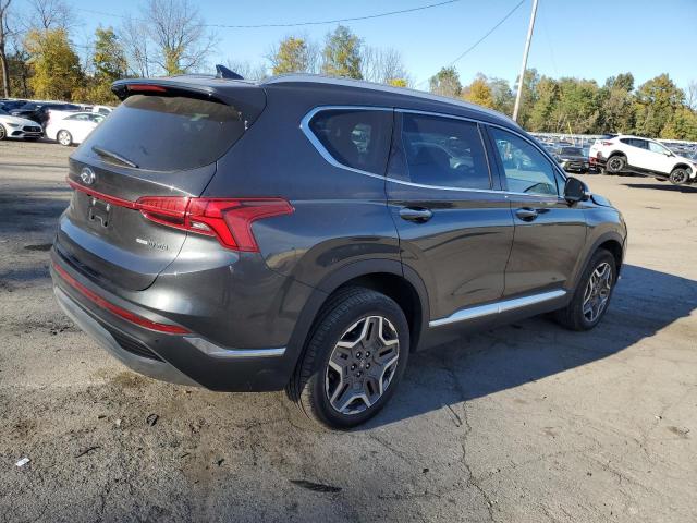 Photo 2 VIN: 5NMS5DA1XPH009646 - HYUNDAI SANTA FE L 