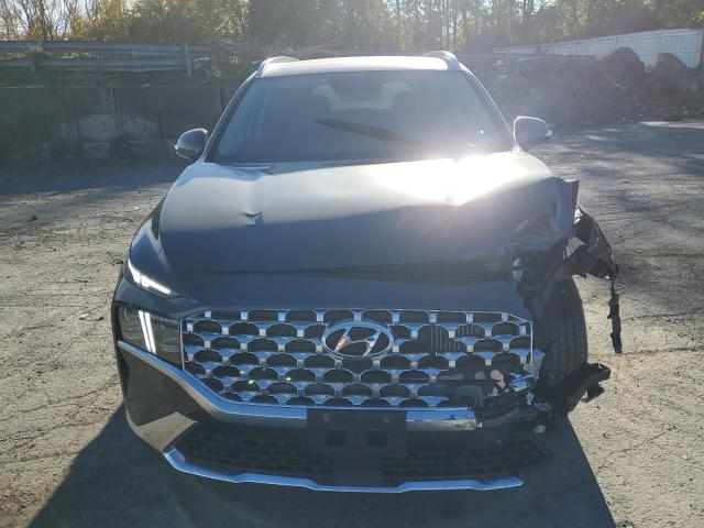 Photo 4 VIN: 5NMS5DA1XPH009646 - HYUNDAI SANTA FE L 