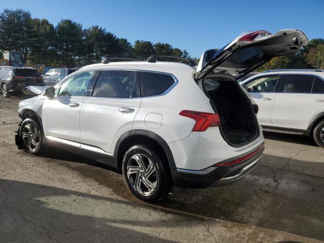 Photo 1 VIN: 5NMS6DAJ0MH316090 - HYUNDAI SANTA FE S 