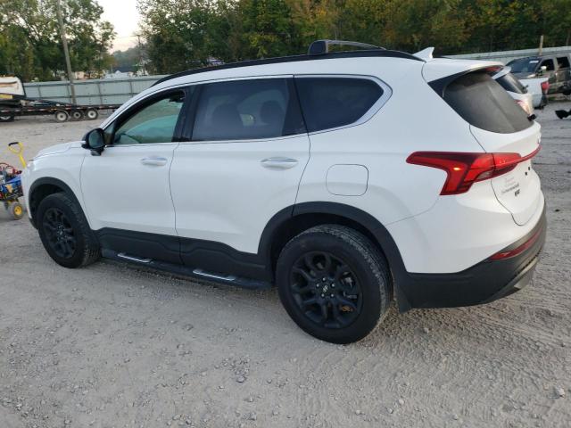 Photo 1 VIN: 5NMS6DAJ1PH527528 - HYUNDAI SANTA FE X 