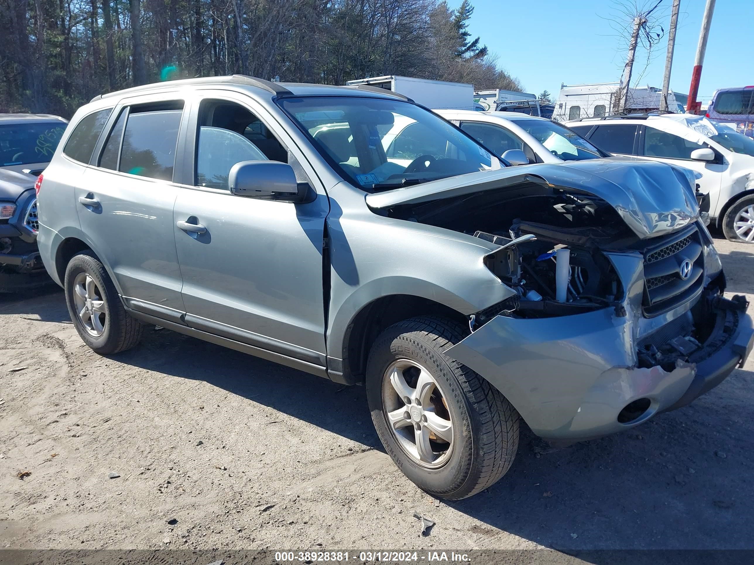 Photo 0 VIN: 5NMSG13D88H209880 - HYUNDAI SANTA FE 