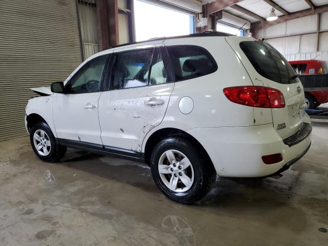 Photo 1 VIN: 5NMSG13D89H248048 - HYUNDAI SANTA FE G 