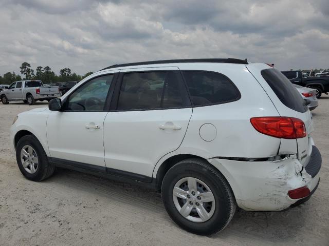 Photo 1 VIN: 5NMSG13D89H307535 - HYUNDAI SANTA FE G 