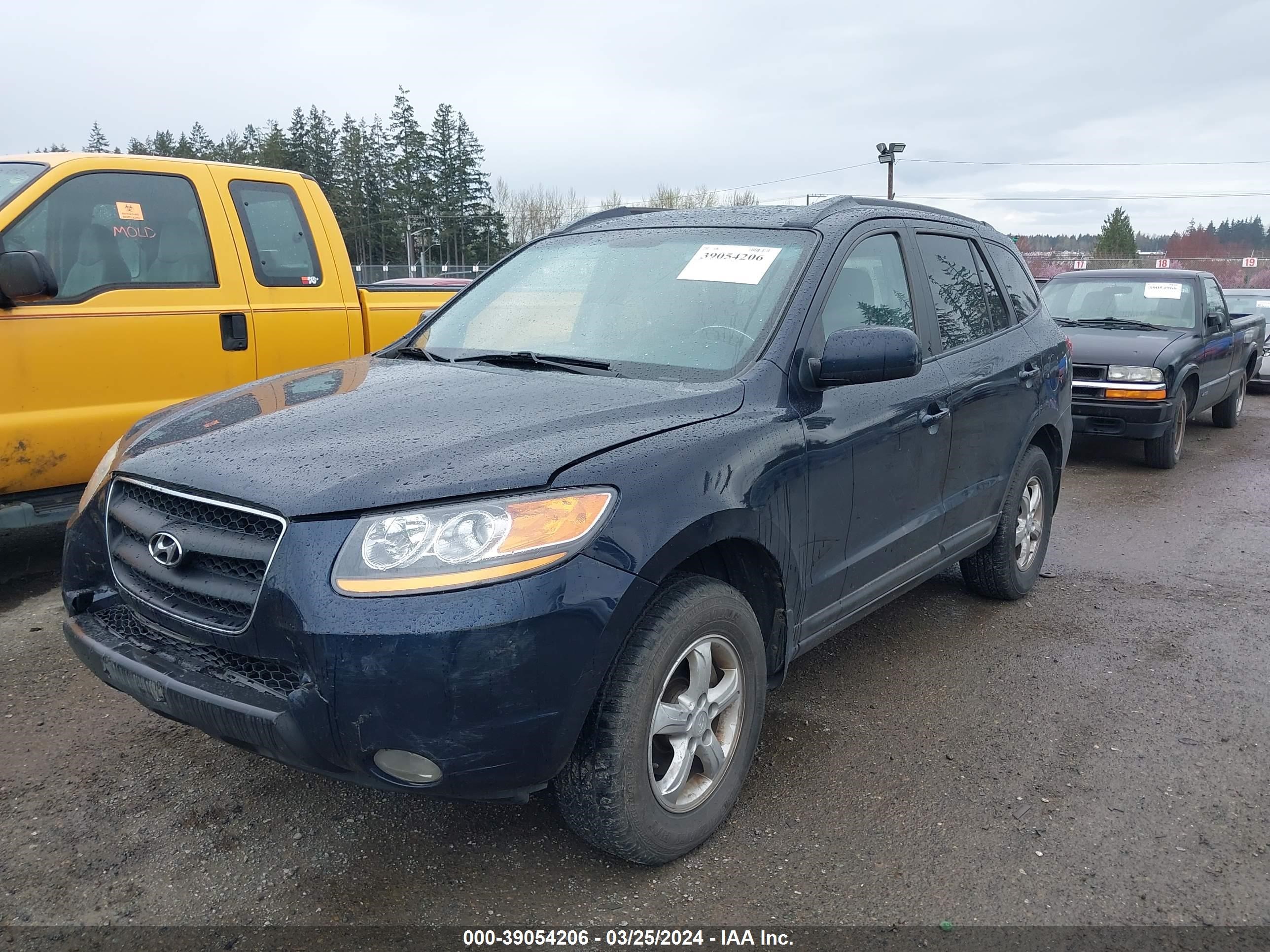 Photo 1 VIN: 5NMSG13E69H248767 - HYUNDAI SANTA FE 